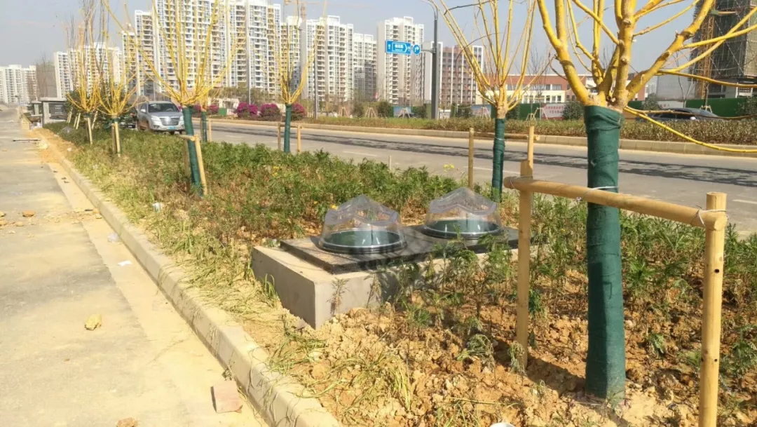 圖片2.png 圖片2.png